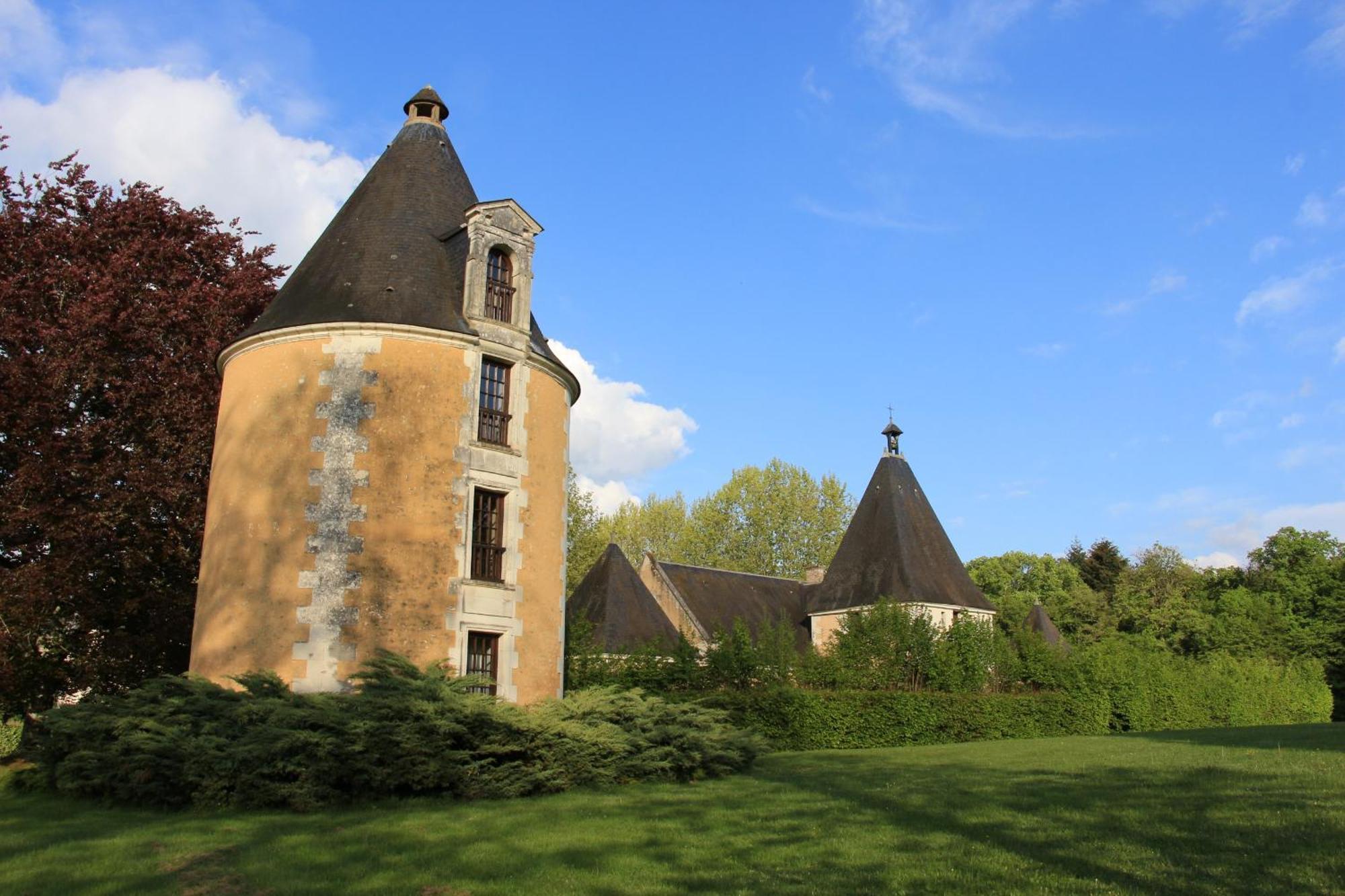 Chateau De La Menaudiere Chissay-en-Touraine Exteriör bild