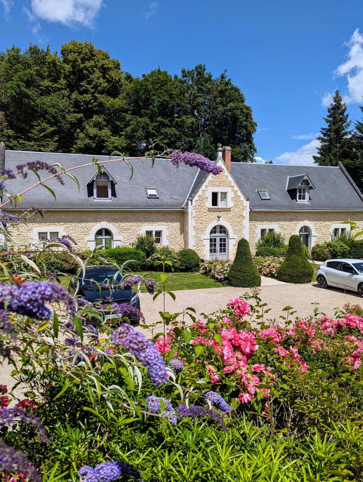 Chateau De La Menaudiere Chissay-en-Touraine Exteriör bild