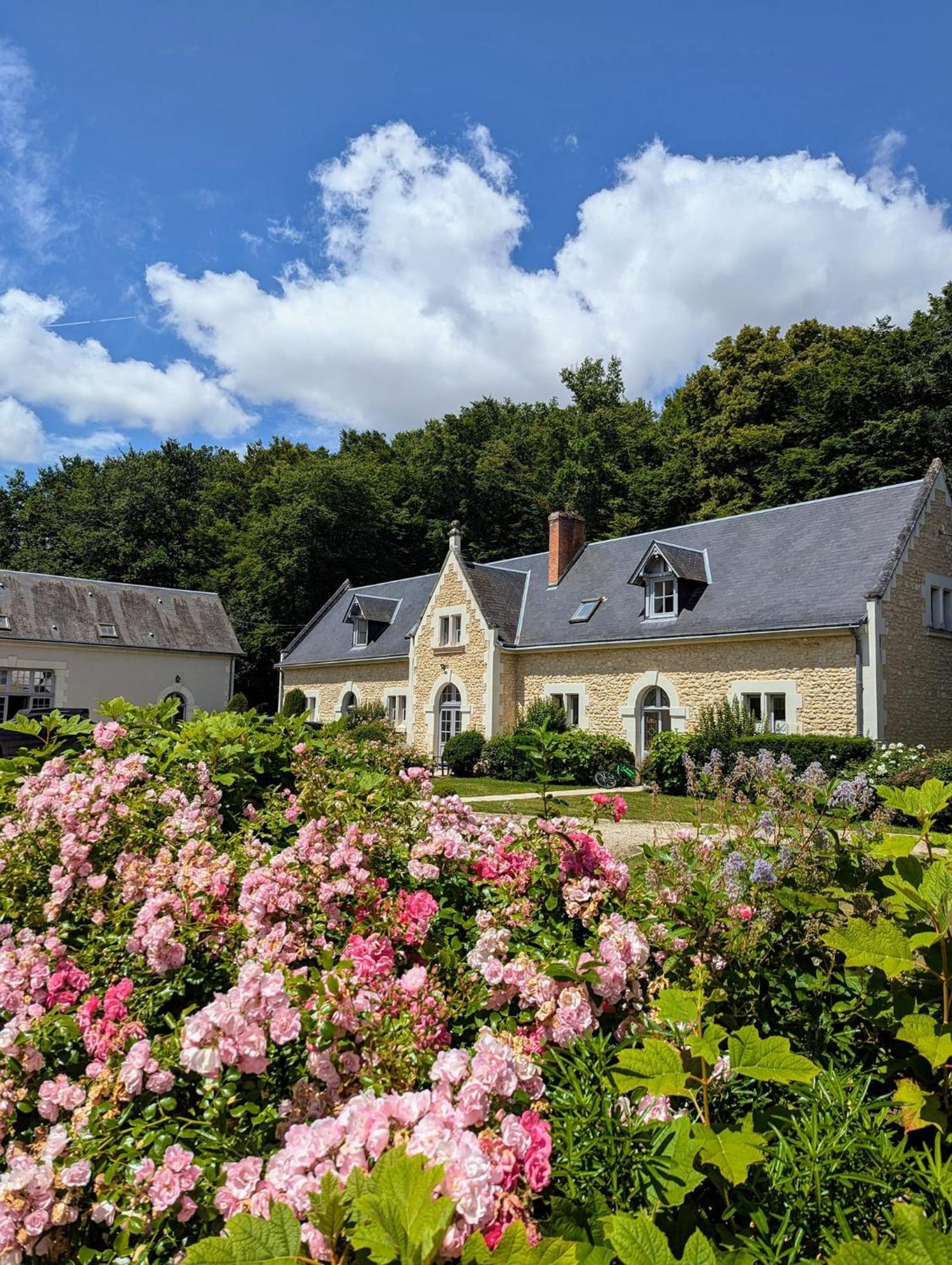 Chateau De La Menaudiere Chissay-en-Touraine Exteriör bild